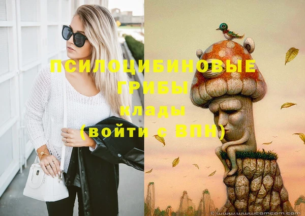 apvp Лихославль