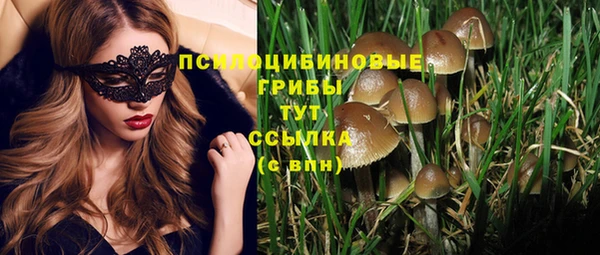 apvp Лихославль