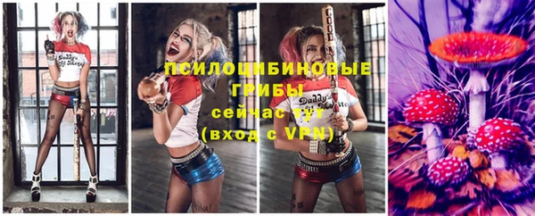 apvp Лихославль